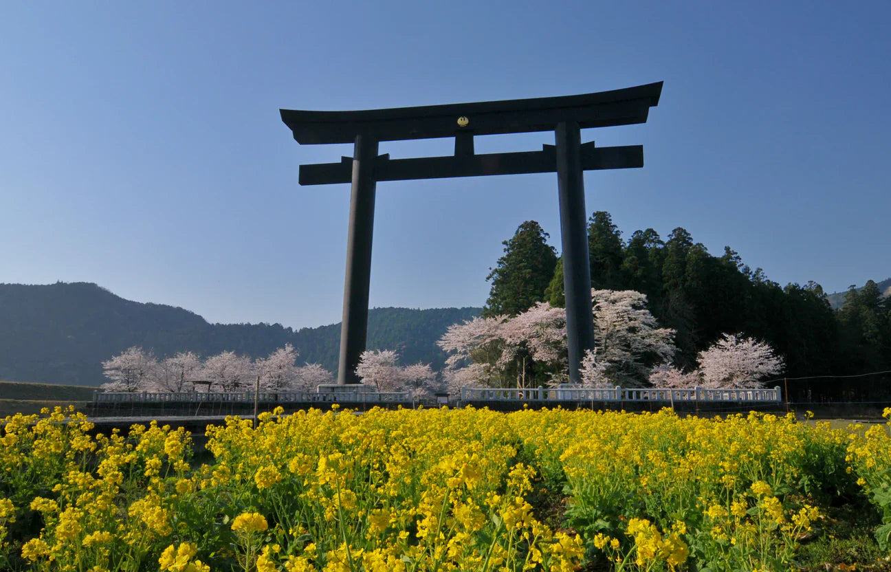 Hiking the Kumano Kodo: One of the Best Hikes in Japan