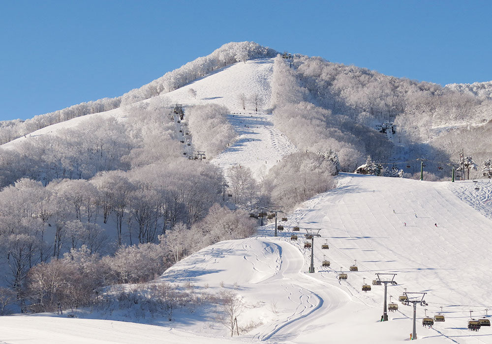 Japan Ski Resorts