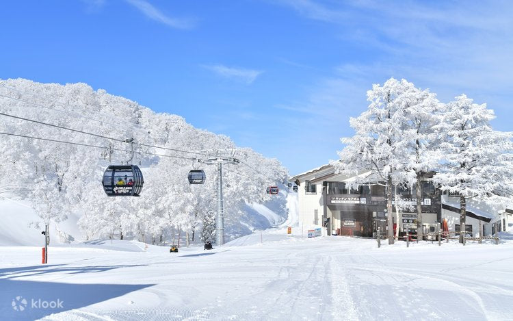 Japan Ski Packages