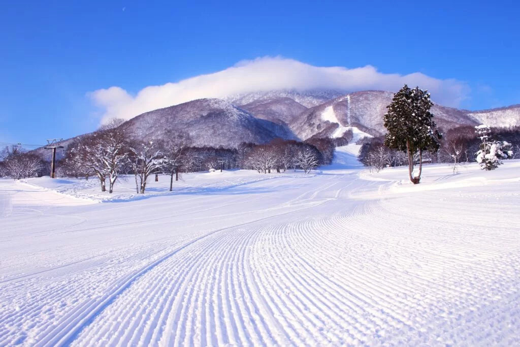 Myoko Kogen Ski Packages