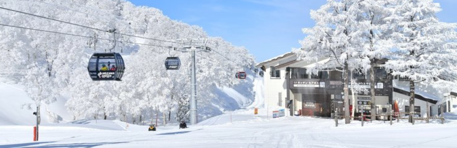 Nozawa Onsen