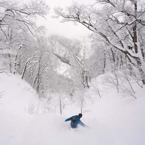 Nozawa Onsen